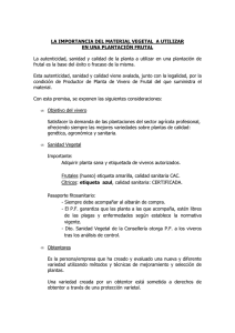 LA IMPORTANCIA DEL MATERIAL VEGETAL A UTILIZAR EN UNA