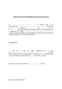Oferta.compromiso plazo de ejecucion