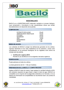 BIOESTIMULANTE BACILO es un BIOESTIMULANTE