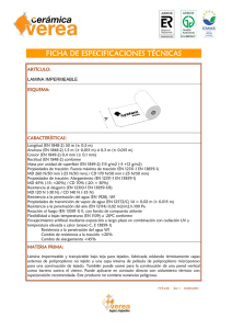 FICHA DE ESPECIFICACIONES TÉCNICAS