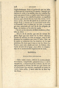 ai8 longitudinalmente hasta el pedúnculo por un lado, y hasta mas
