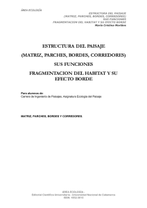 Estructura del Paisaje: Matriz, Parches, Bordes y Corredores