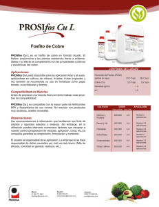 PROSIfos Cu L