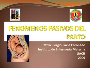 Diapositiva 1