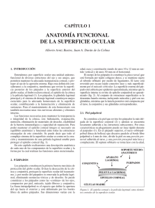 Anatomía Funcional de la Superficie Ocular