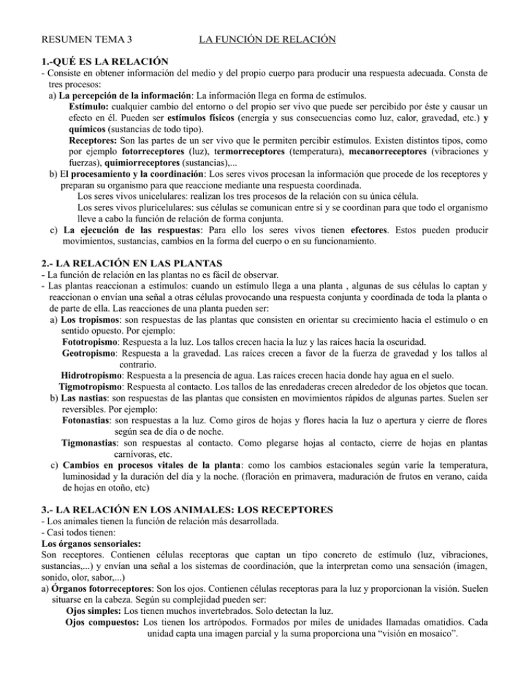 RESUMEN TEMA 3 LA FUNCIÓN DE RELACIÓN 1.