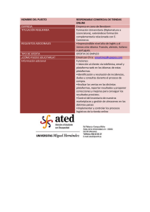 Responsable Comercial de tiendas Online