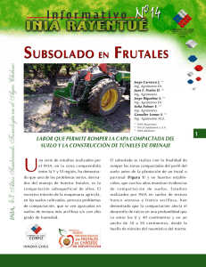 Cart 14 Subsolado