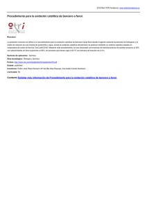Procedimiento para la oxidación catalítica de benceno a fenol.
