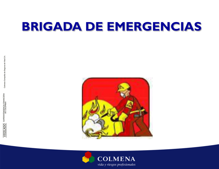 Brigadas De Emergencia