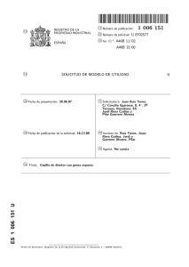 CEPILLO DE DIENTES CON GOMA ESPUMA(ES1006151)