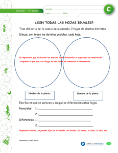 ¿SON TODAS LAS HOJAS IGUALES?