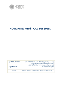 horizontes genéticos del suelo