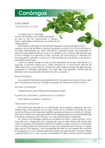 Canónigos