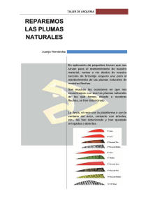 Reparar plumas naturales