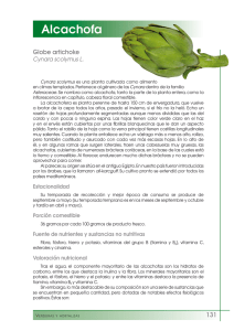 Alcachofa