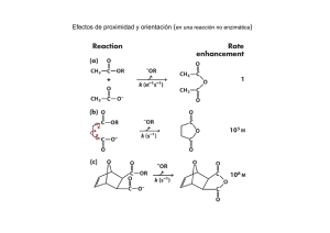 Catálisis enzimática