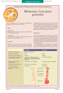 Melaninas. Conceptos generales