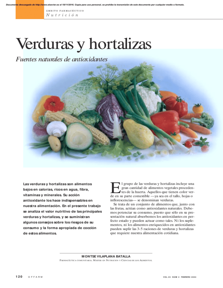 Verduras Y Hortalizas