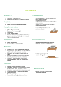 Descargar la ficha técnica del producto