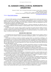 el ganado criollo en el noroeste argentino