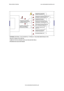 circuito fuerza tren superior+isquiotibiales