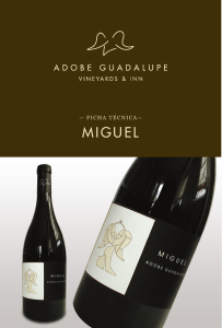 MIGUEL MIGUEL - Adobe Guadalupe