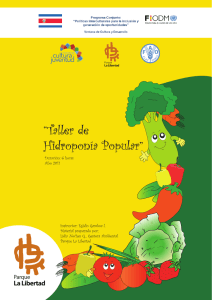 Taller de Hidroponía Popular - Sistema de Naciones Unidas