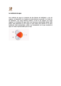 La molécula de agua Una molécula de agua se compone de