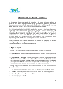 DISCAPACIDAD VISUAL