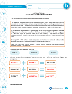 BLANCO NEGRO MULATO INDÍGENA NEGRO ZAMBO BLANCO