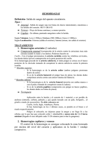 HEMORRAGIAS Definición- Salida de sangre del aparato