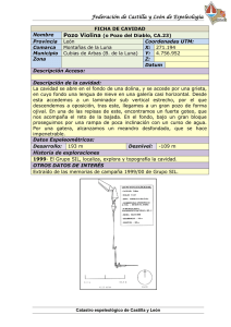 FICHA DE CAVIDAD