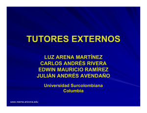 Tutores Externos: Historia, Tipos y Principios de Fijación