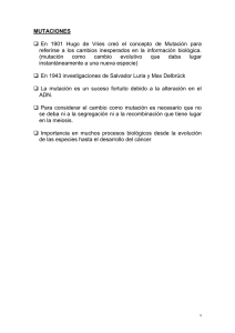 MUTACIONES En 1901 Hugo de Vries creó el concepto de