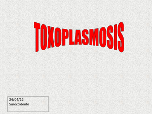 Diagnóstico de Toxoplasmosis