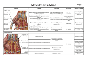 Descargar - Telmeds.org