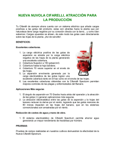 Nueva Nuvola Cifarelli