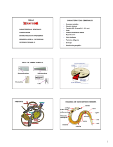 tema 7 caracteristicas generales tipos de aparato bucal habitats
