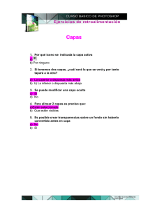 1. Por qué icono se indicada la capa activa a) b) Por ninguno 2. Si