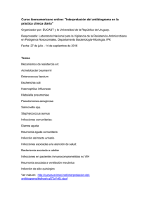 Interpretación del antibiograma en la práctica clínica diaria