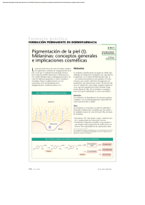 Pigmentación de la piel (I). Melaninas: conceptos generales e