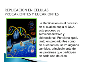 La Replicación es el proceso en el cual se copia el DNA, este