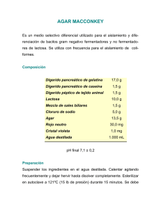 Agar MacConkey: Preparación y Uso en Microbiología