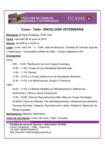 Curs o - Tal ler: ON NCOLO OGÍA VE ETERIN NARIA
