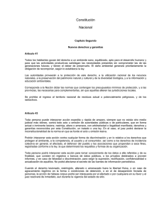 Artículo 43 Constitución Nacional
