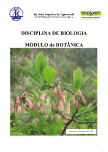 MANUAL_BOTANICA_Fev2.. - Instituto Superior de Agronomia