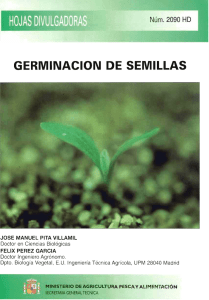 Germinación de Semillas: Proceso y Fases | Biología Agrícola