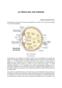 la física del ojo humano