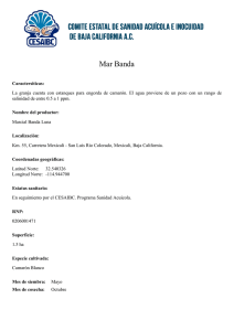 Mar Banda